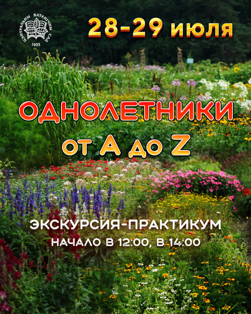 Annuals from A to Z. A practical excursion!