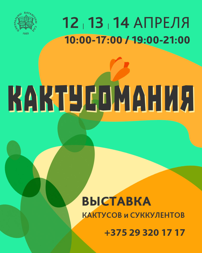 КАКТУСОМАНИЯ! Выставка кактусов и суккулентов