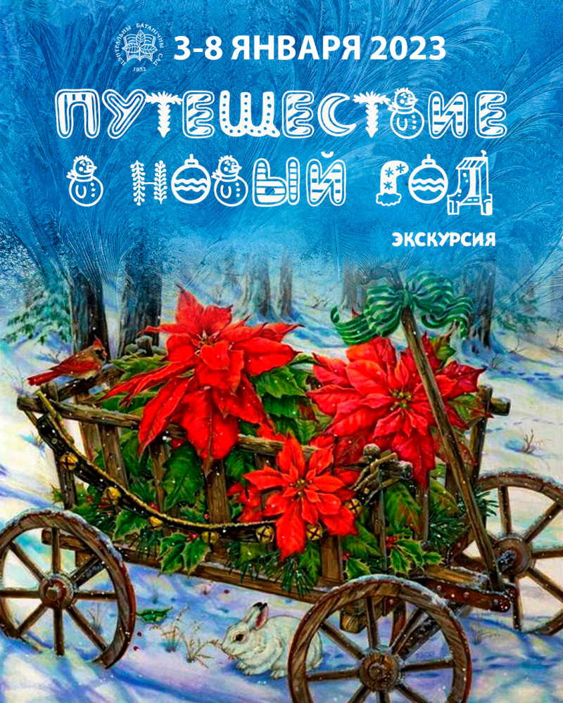 Падарожжа ў Новы год! Экскурсіі