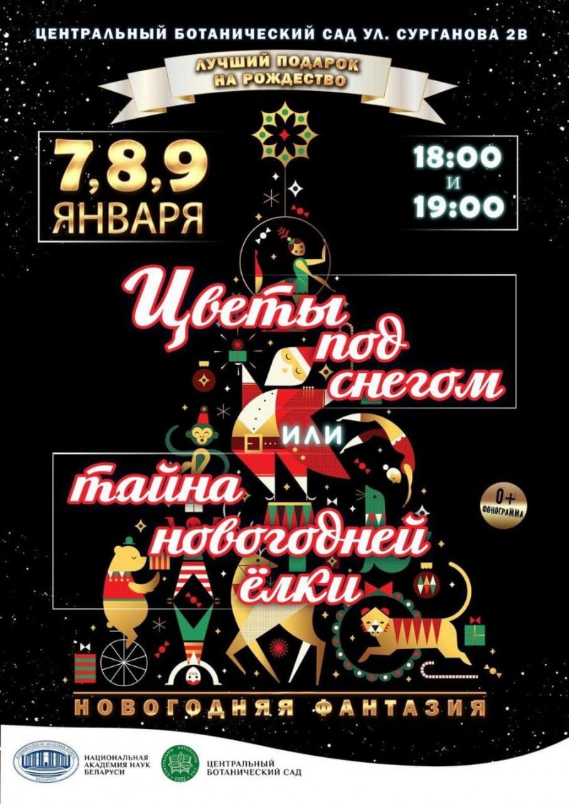 Новогодняя фантазия "Цветы под снегом или Тайна Новогодней Елки" продолжается!