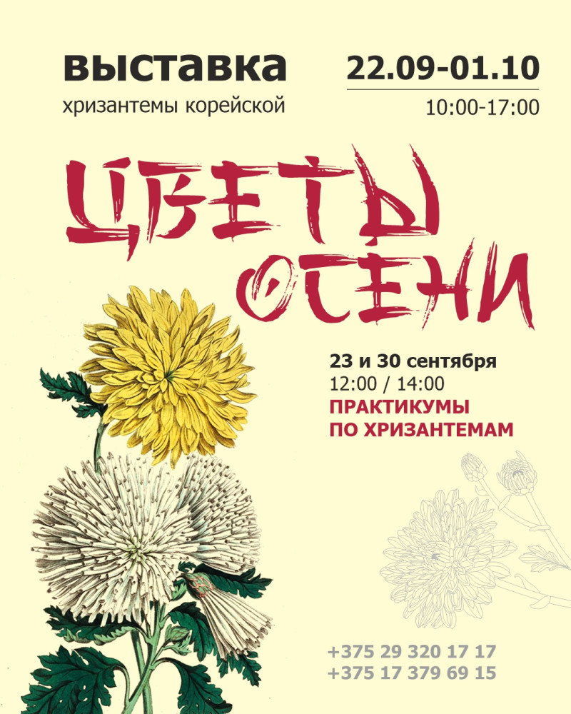 Exhibition of Korean chrysanthemum "Flowers of Autumn"!