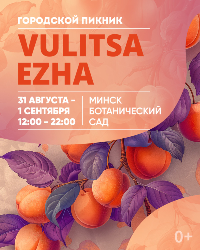 Городской пикник Vulitsa Ezha!