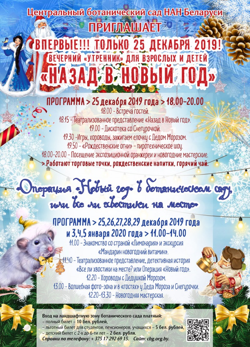 Evening "matinee" for adults and children "Back to the New Year"