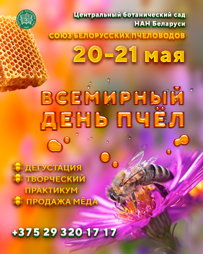 World Bee Day!