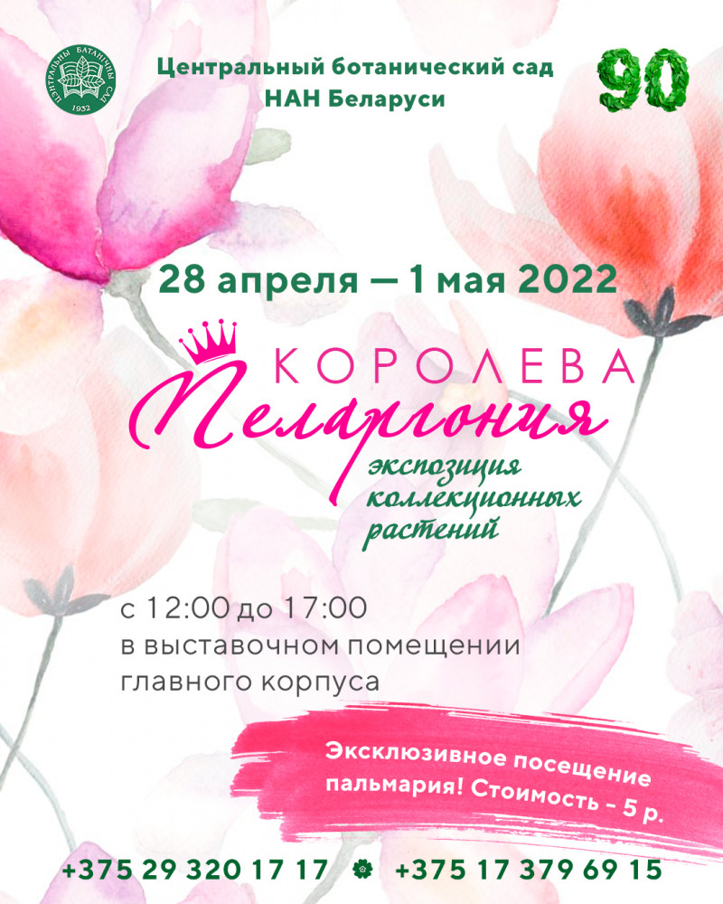 Exhibition "Queen Pelargonium"