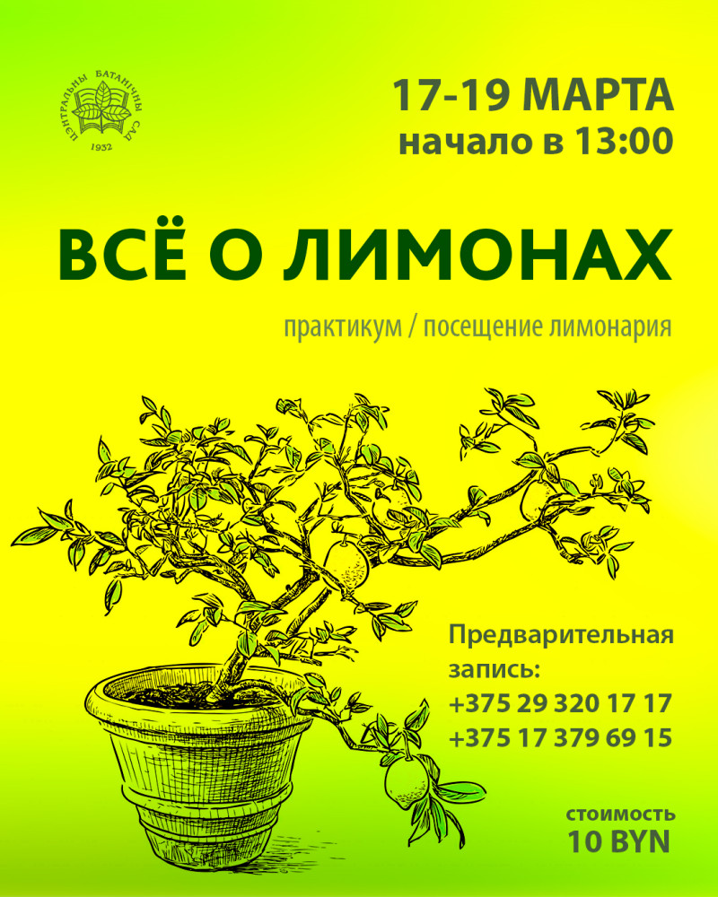 Workshop "All about lemons"